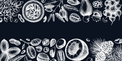 Vector nuts banner on chalkboard. Vintage nuts background in sketched style. Healthy food ingredients template with botanical illustrations. Realistic branches, plants, fruits, nutshells sketches.